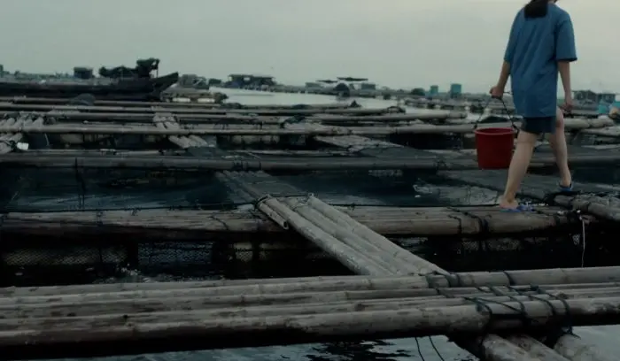 《海在我们周围》 / The Sea Is All About Us