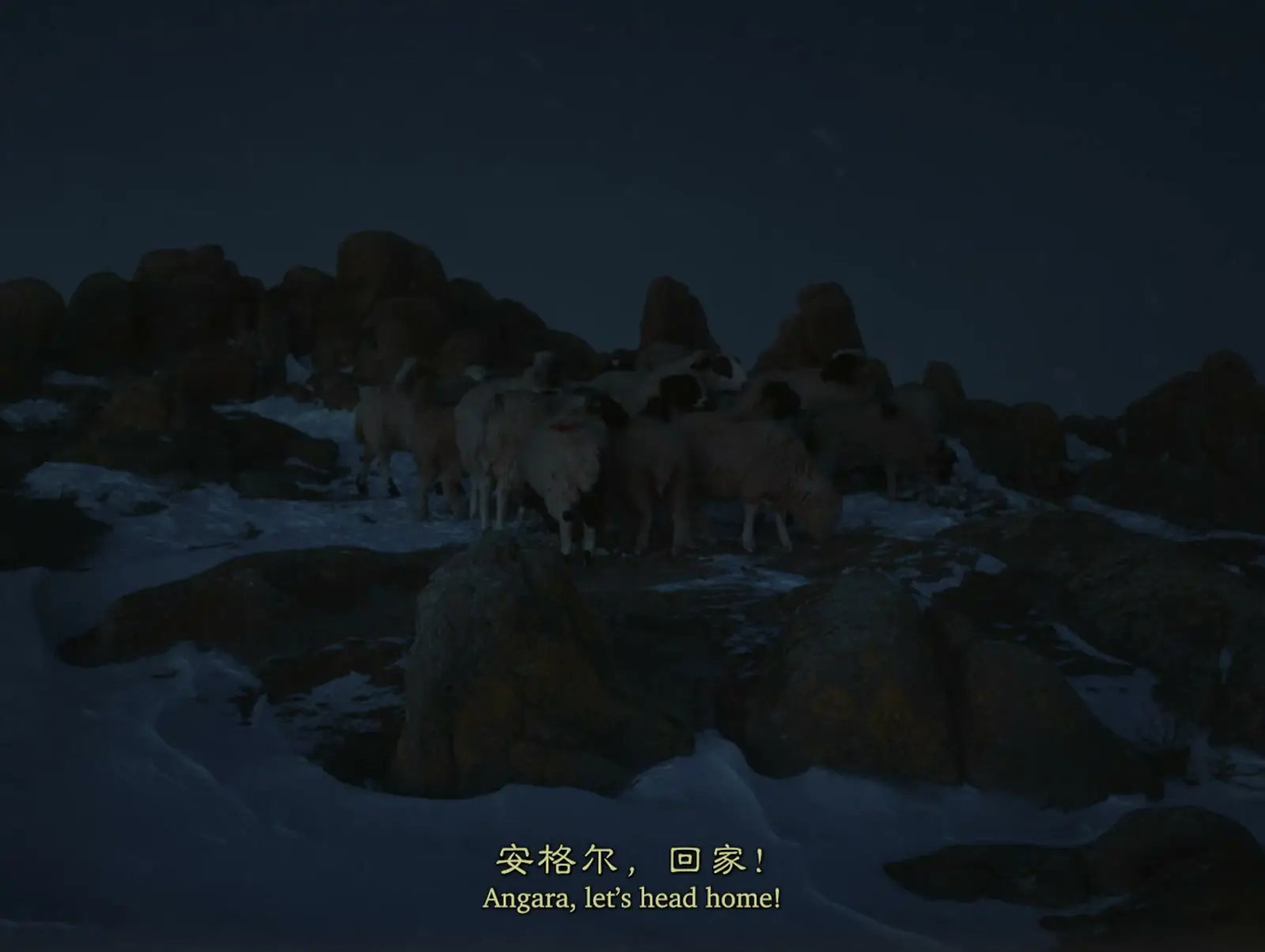 《馬冢》 / Graveyard of Horses